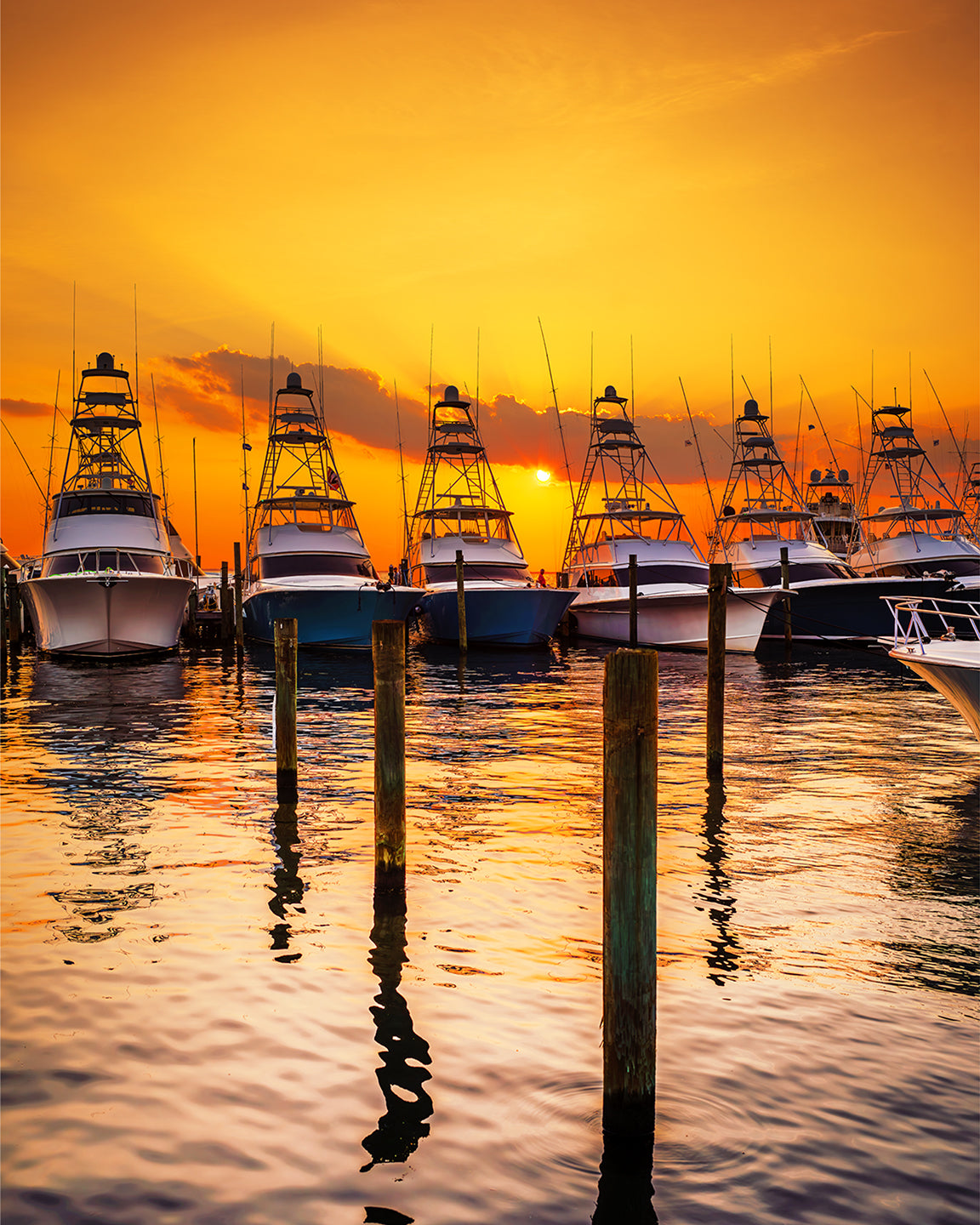 Twilight Trawlers