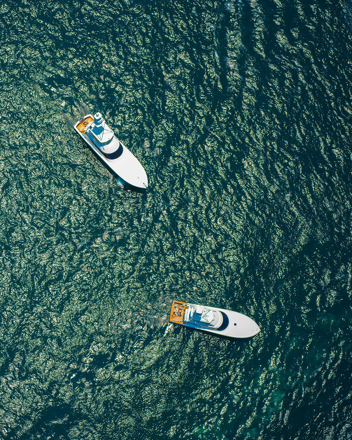Blue Voyagers