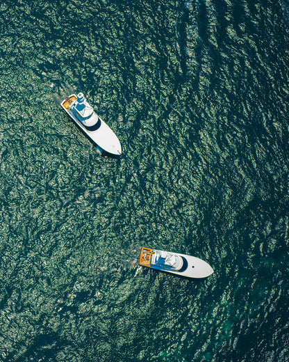 Blue Voyagers