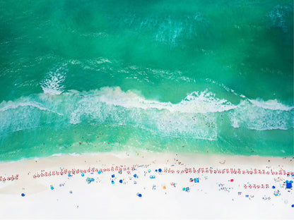 Emerald Coastline