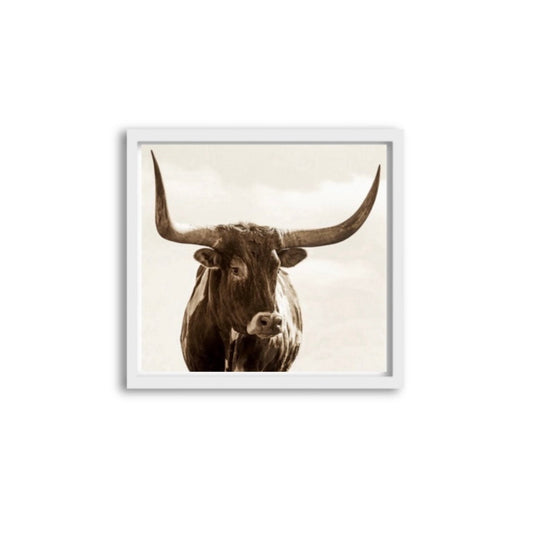 Bull