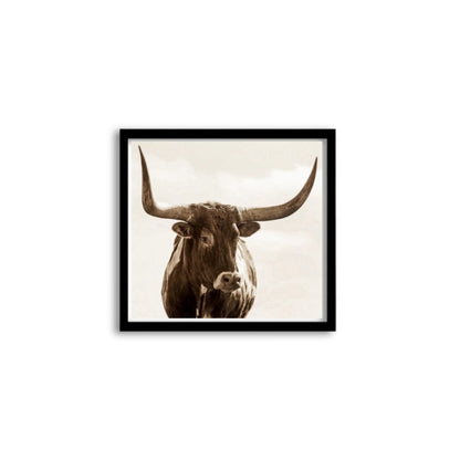 Bull