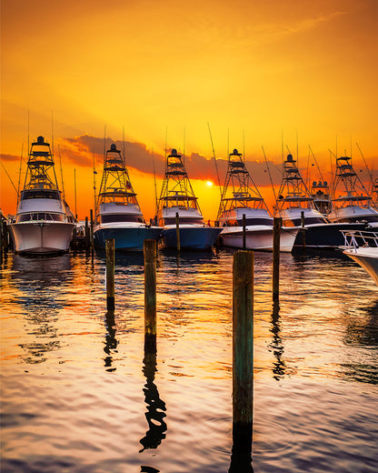 Twilight Trawlers